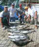 Cut_Bait_Seminar_.9.1.03_001.jpg (44367 bytes)
