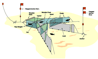 Net shape and markings