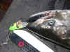 8.25.07_Manistee_Chrome_Head_BTI.jpg (42034 bytes)