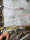 Line_Diameters.jpg (328476 bytes)