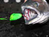 7.2.07_Super_Mags_trebles_stuck.jpg (159238 bytes)