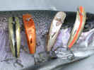 Roger_Lewis_Hot_Lures_11.26.03.jpg (48855 bytes)